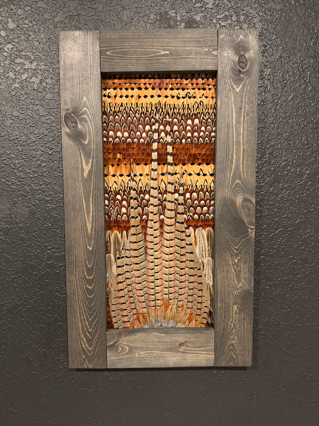 Pheasant Feather Frame 001