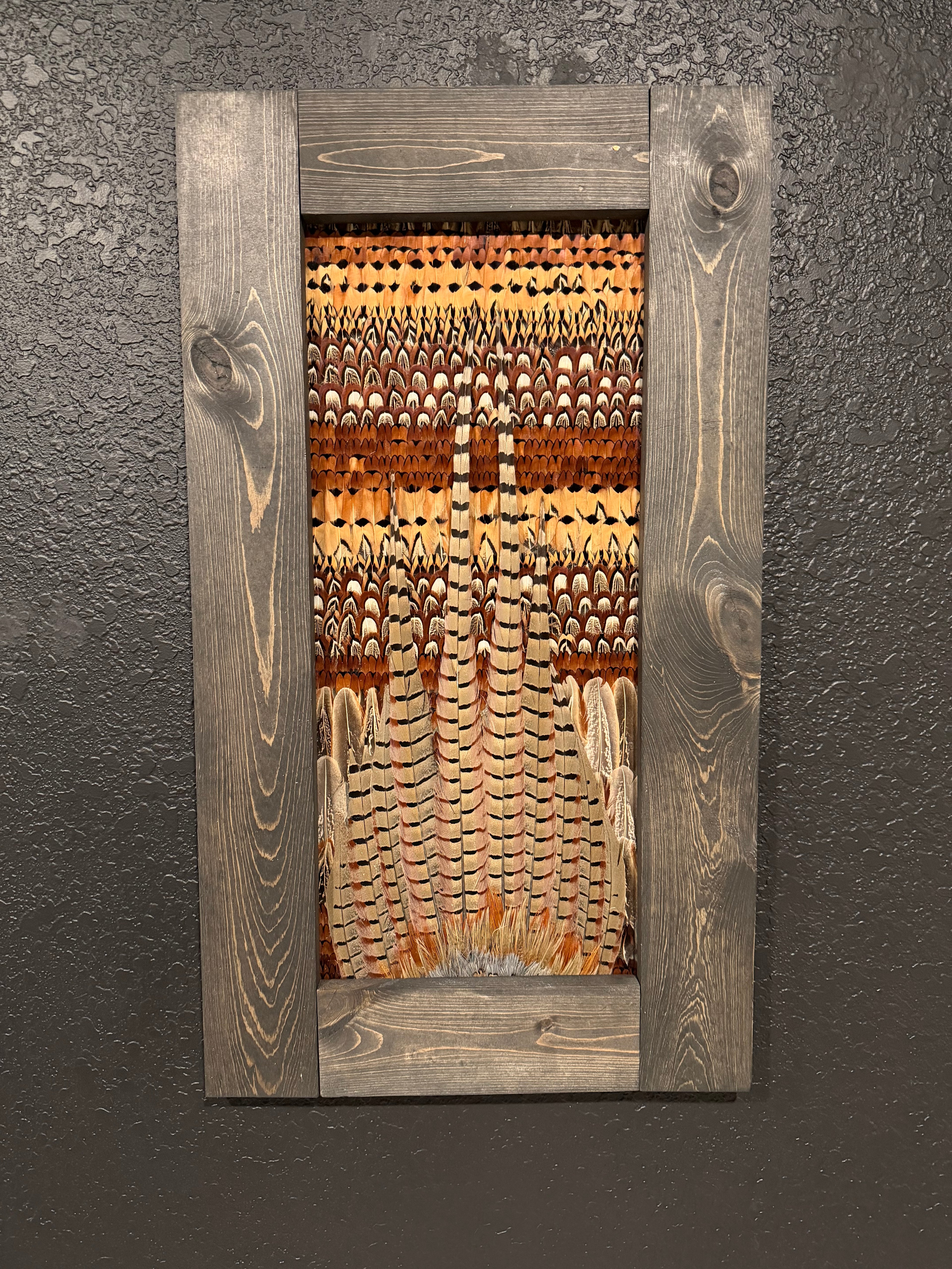 Pheasant Feather Frame 001