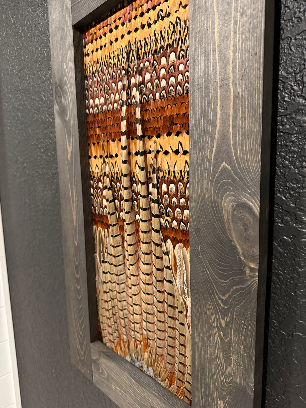 Pheasant Feather Frame 001