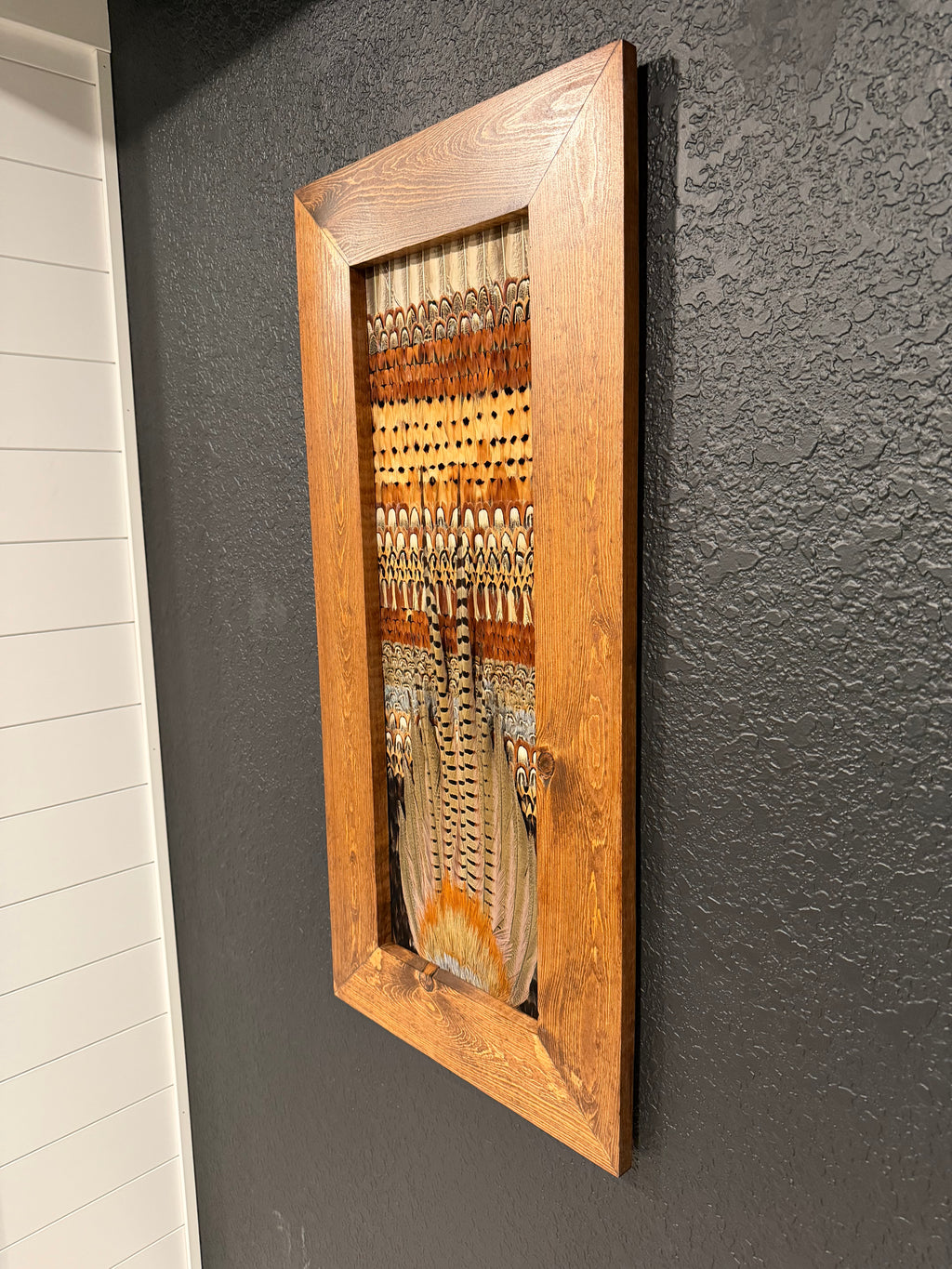 Pheasant Feather Frame 002